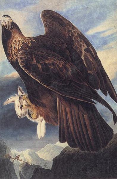 John James Audubon Golden Eagle